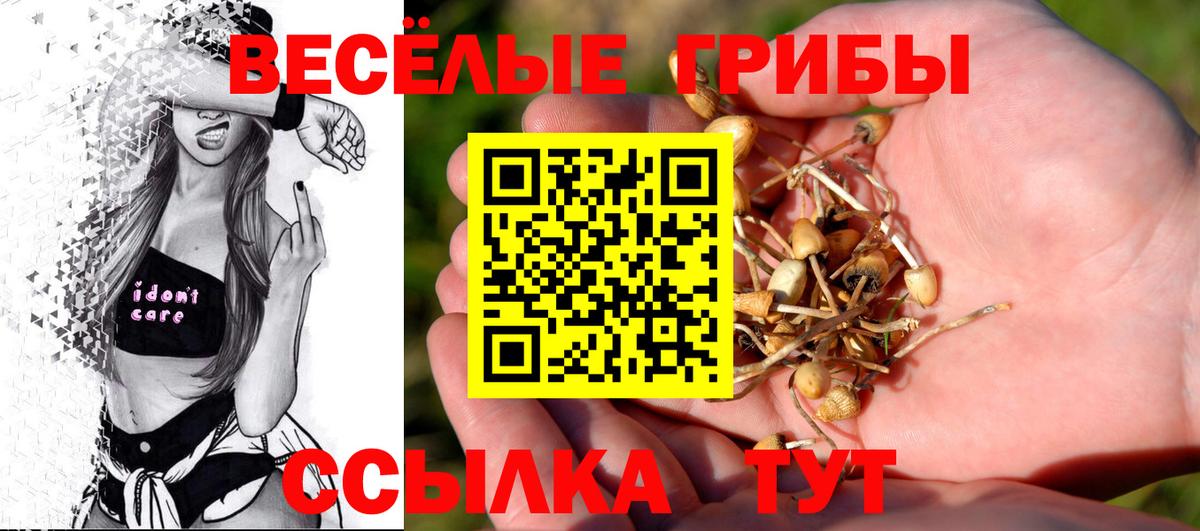 Новосибирск  Псилоцибиновые грибы Psilocybine cubensis  Галлюциногенные грибы прущие грибы  Вход с VPN 